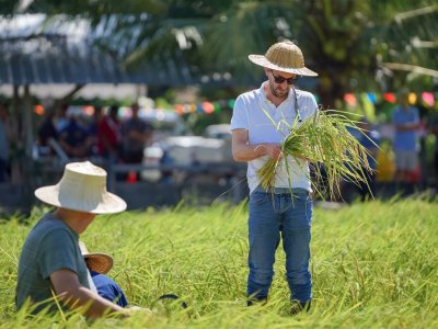 SS Rice News Convention 2025, Pattaya - Thailand